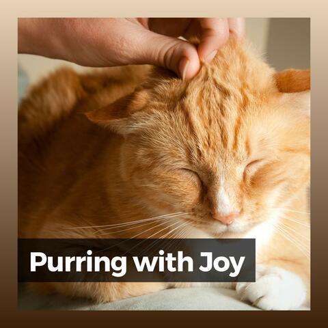 Purring with Joy