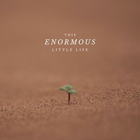 This Enormous Little Life