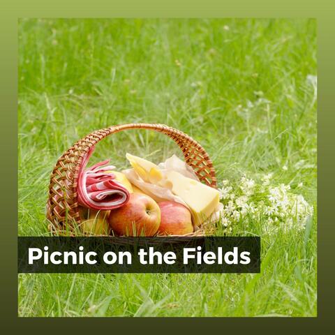 Picnic on the Fields