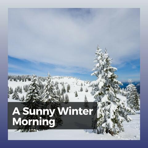A Sunny Winter Morning