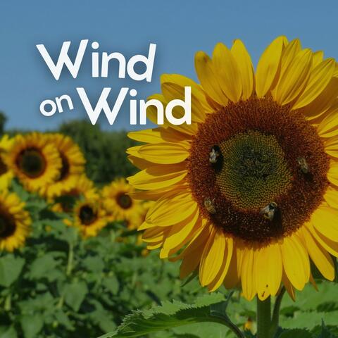 Wind on Wind