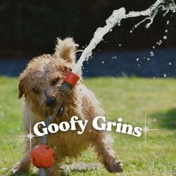 Music for a Calm Hound, Pt. 1