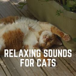 Cat Relaxation Music, Pt. 4
