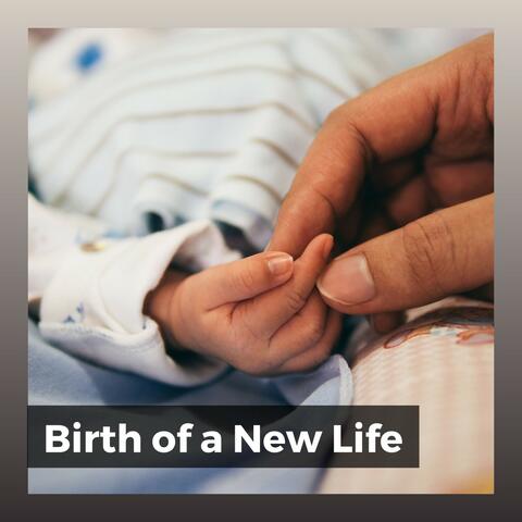 Birth of a New Life