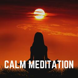 Meditation Zen Vibes, Pt. 10