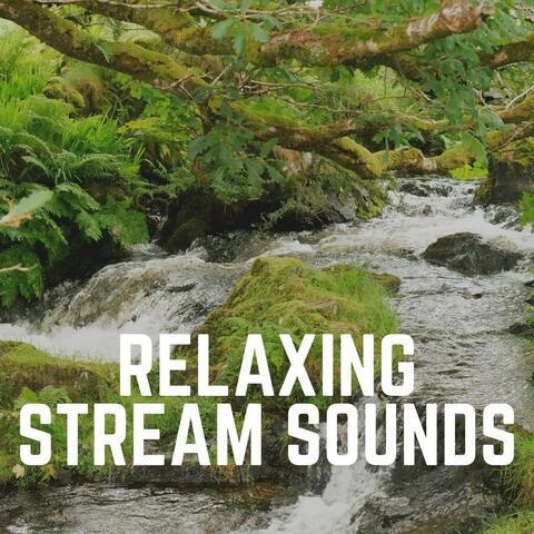 Relaxing Stream Sounds