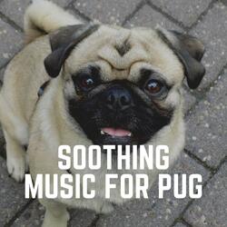 Music for a Calm Hound, Pt. 17