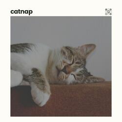 Cat Relaxation Music, Pt. 19