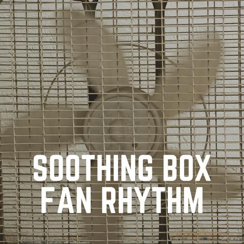 Soothing Box Fan Rhythm