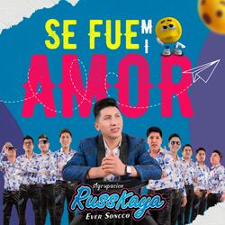 Se Fue Mi Amor