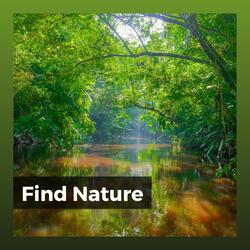 30 Beautiful Nature Sounds, Pt. 30