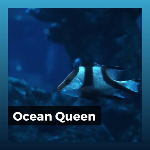 Ocean Queen