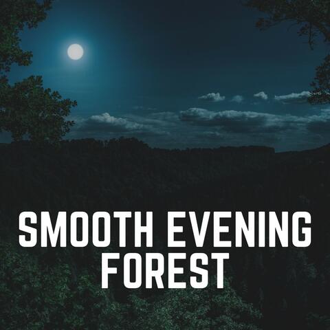 Smooth Evening Forest