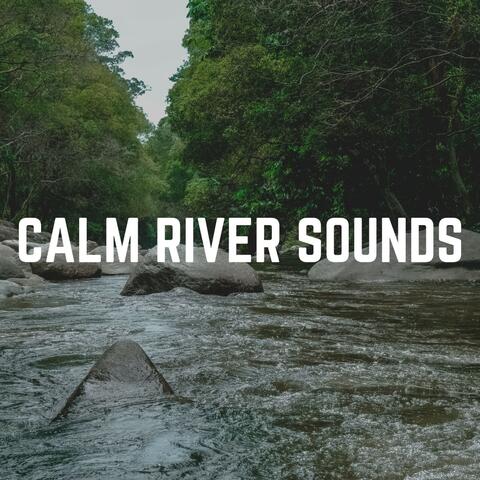 Calm River Sounds
