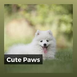 Music for a Calm Hound, Pt. 5