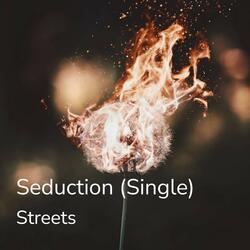 Seduction (Prod. By Lyg Beats)