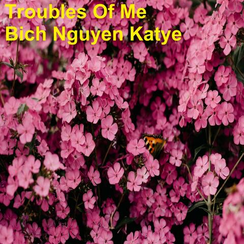 Troubles of Me