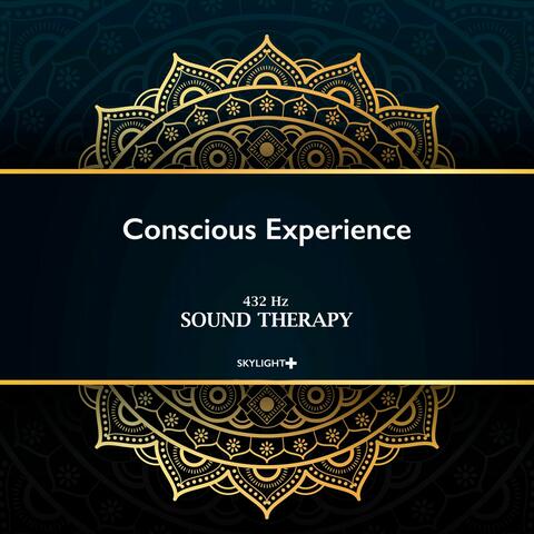 Conscious Experience