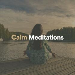 Calm Music for Sleeping, Pt. 4