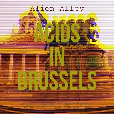 Acids in Brussels