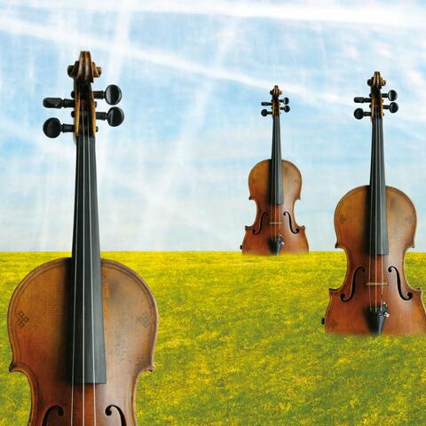 Violinscapes