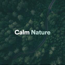 Zen Nature