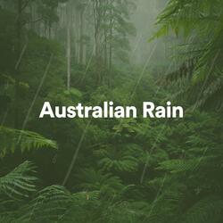 Rain for Meditation, Pt. 19