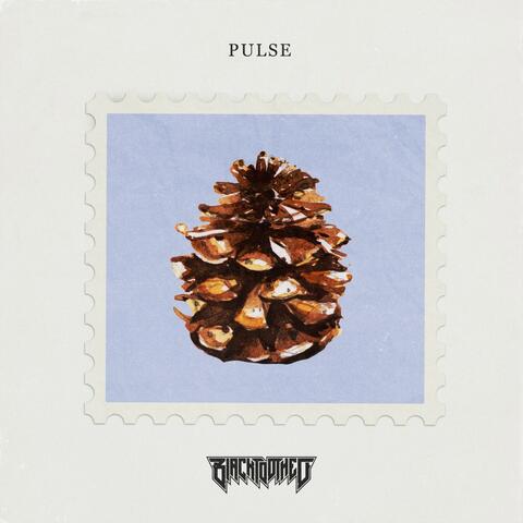 Pulse