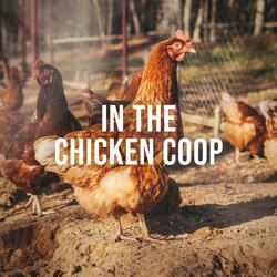 In the Chicken Coop, Pt. 19