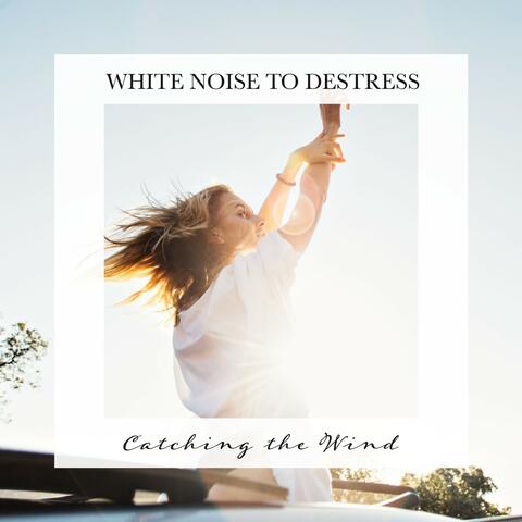 Cacthing the Wind: White Noise to Destress