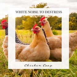Chicken Coop, Pt. 3