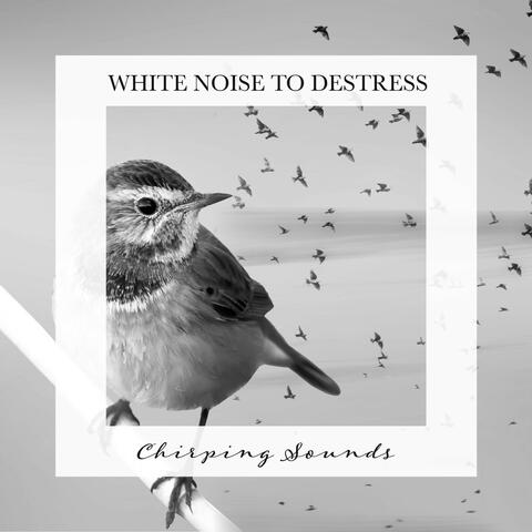 Chirping Sounds: White Noise to Destress