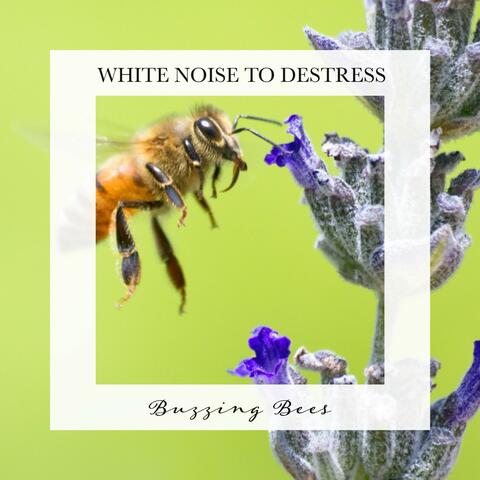 Buzzing Bees: White Noise to Destress