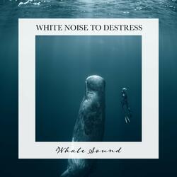 Whale Sounds, Pt. 6