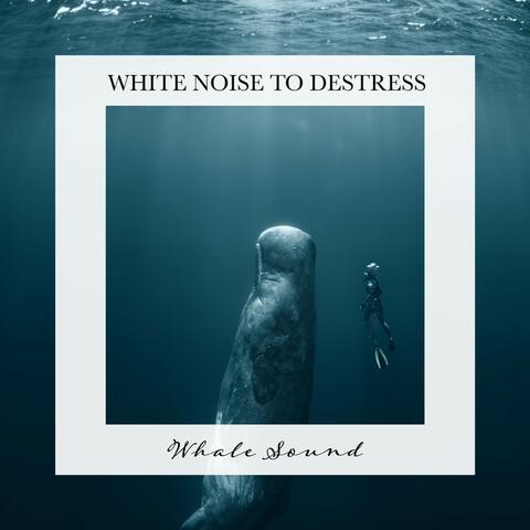 Whale Sound: White Noise to Destress