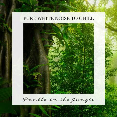 Rumble in the Jungle: Pure White Noise to Chill
