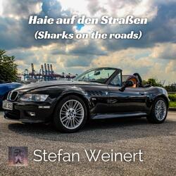 Haie auf den Straßen