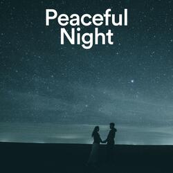 All Night Ambience for Sleeping Babies, Pt. 3