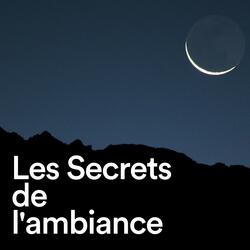 Musique La Plus Relaxante Du Monde