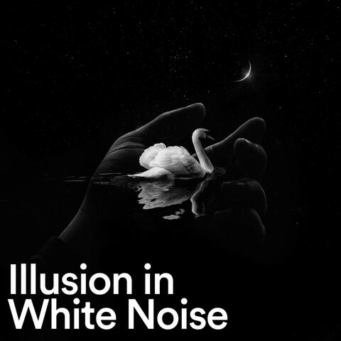 Illusion in White Noise