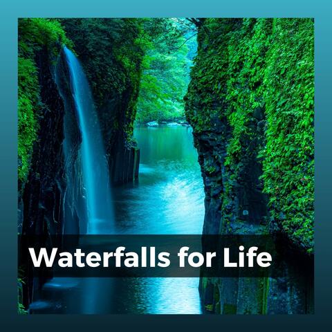 Waterfalls for Life