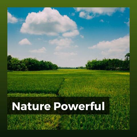 Nature Powerful