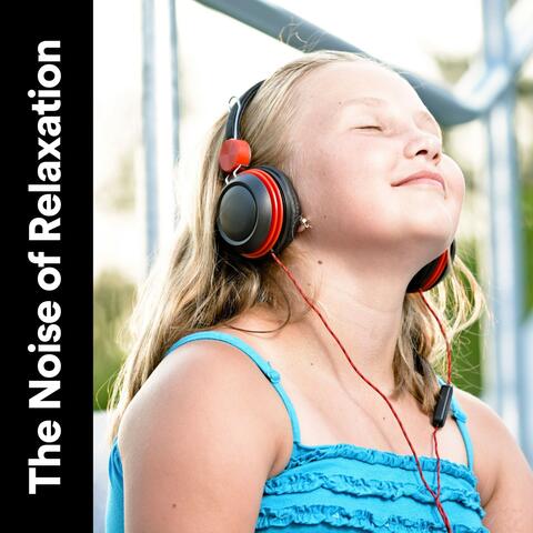 The Noise of Relaxation