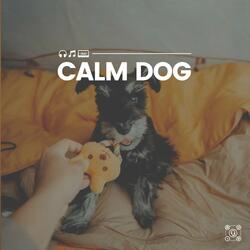 Music for a Calm Hound, Pt. 9