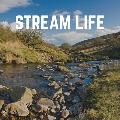 Stream Life