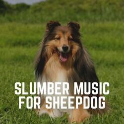 Relaxing Dog Music, Pt. 4
