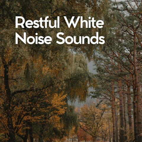 Restful White Noise Sounds