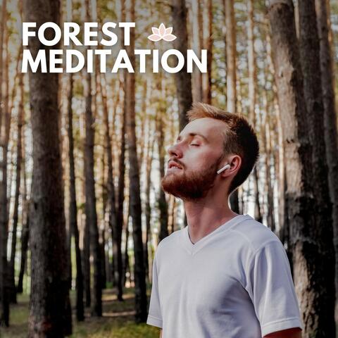 Forest Meditation