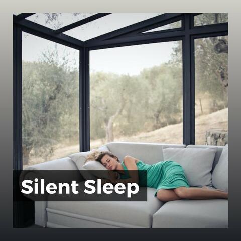 Silent Sleep