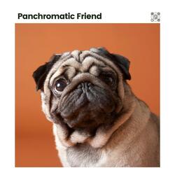 Anxiety Relief Music for Your Dog, Pt. 18